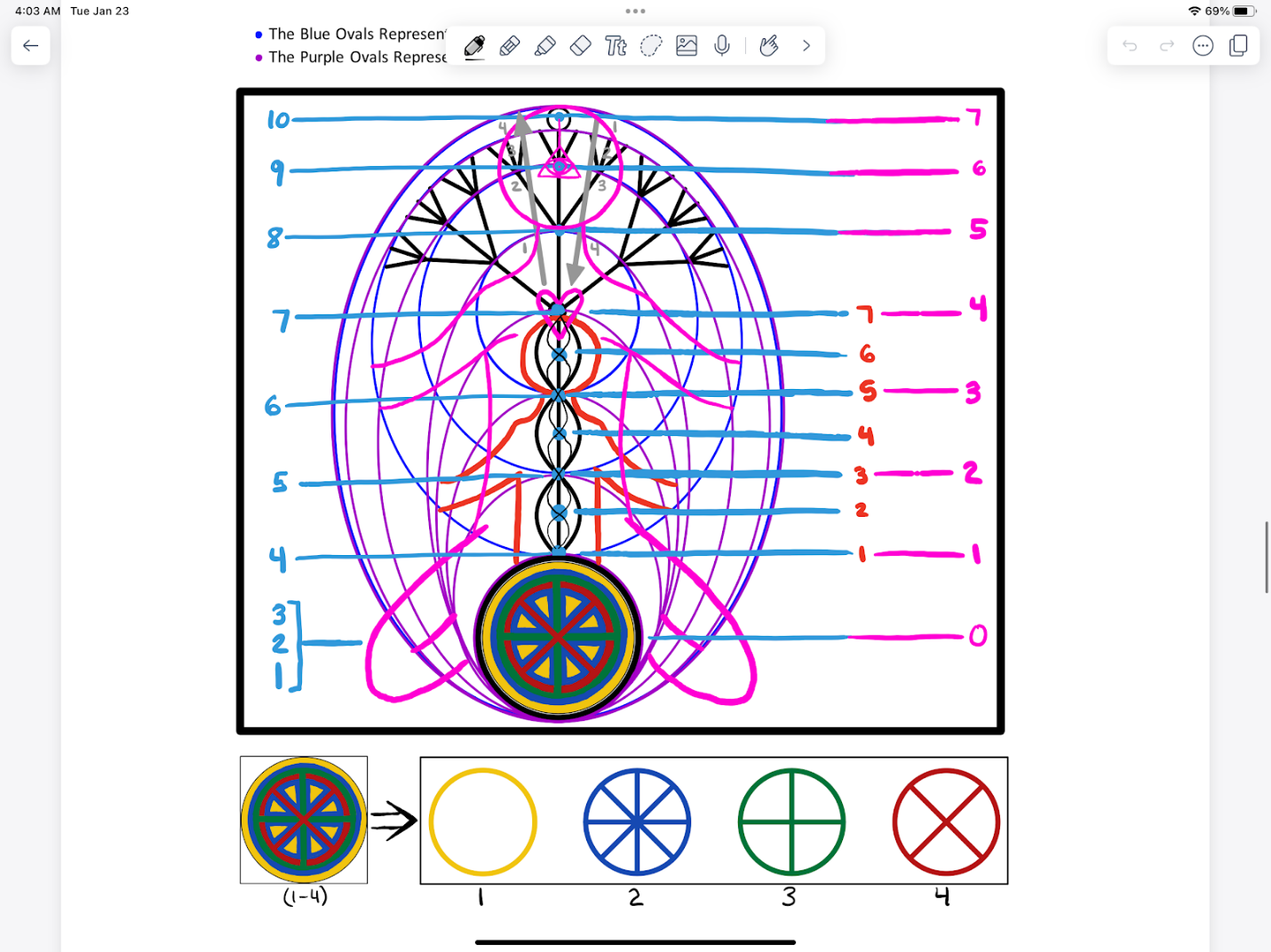 Energy body diagram